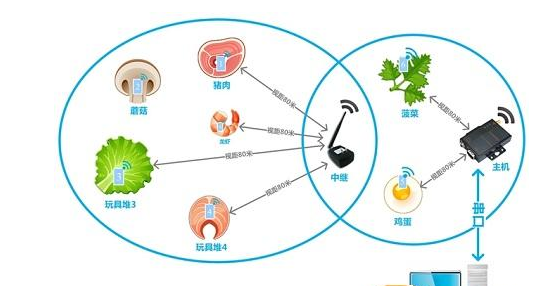 AG真人国际(中国)官方网站
