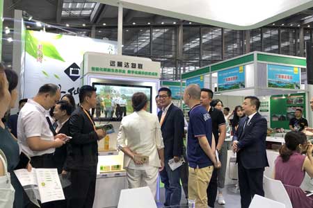 AG真人国际(中国)官方网站